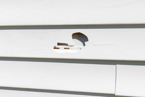 Best Same-Day Junk Removal Services  in Sherwood, OR
